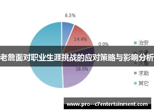 老詹面对职业生涯挑战的应对策略与影响分析