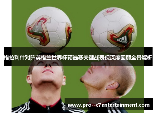 格拉利什对阵英格兰世界杯预选赛关键战表现深度回顾全景解析