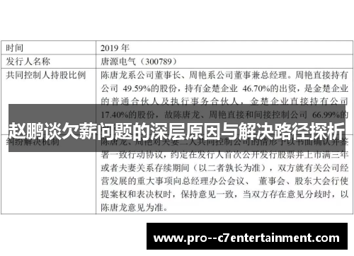 赵鹏谈欠薪问题的深层原因与解决路径探析 赵鹏谈欠薪问题的深层原因与解决路径探析