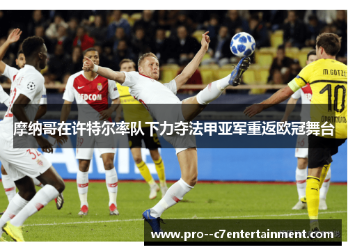 摩纳哥在许特尔率队下力夺法甲亚军重返欧冠舞台 摩纳哥在许特尔率队下力夺法甲亚军重返欧冠舞台