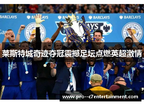 莱斯特城奇迹夺冠震撼足坛点燃英超激情