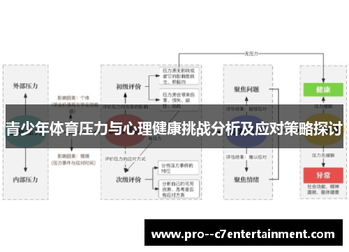 青少年体育压力与心理健康挑战分析及应对策略探讨