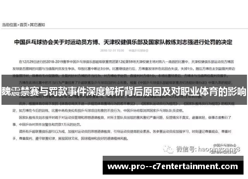 魏震禁赛与罚款事件深度解析背后原因及对职业体育的影响